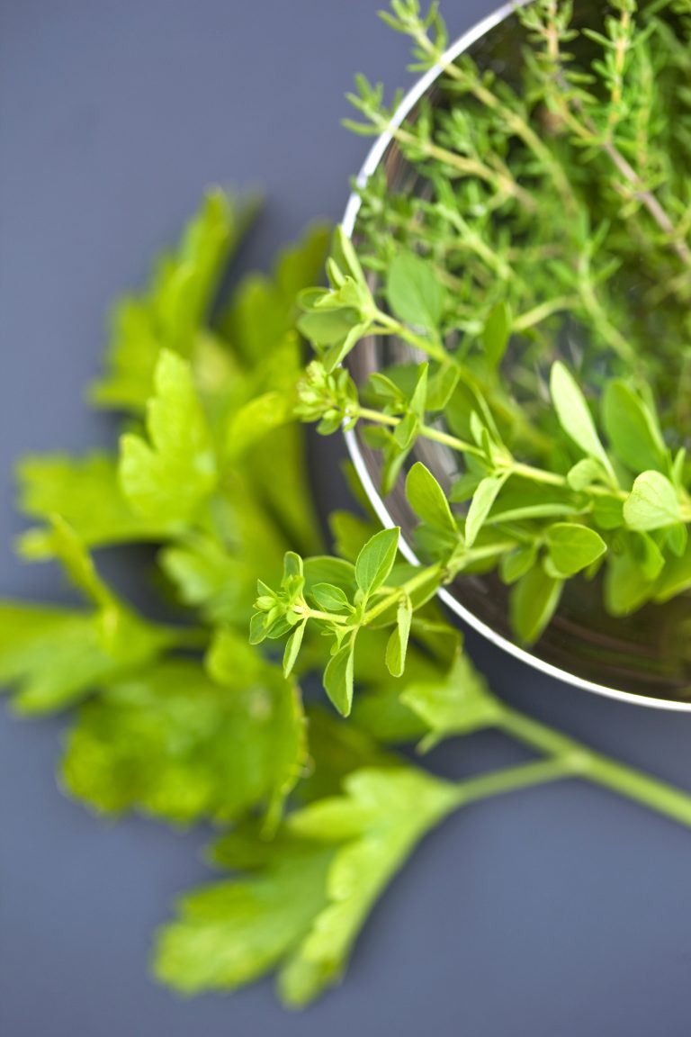 Thyme and parsley